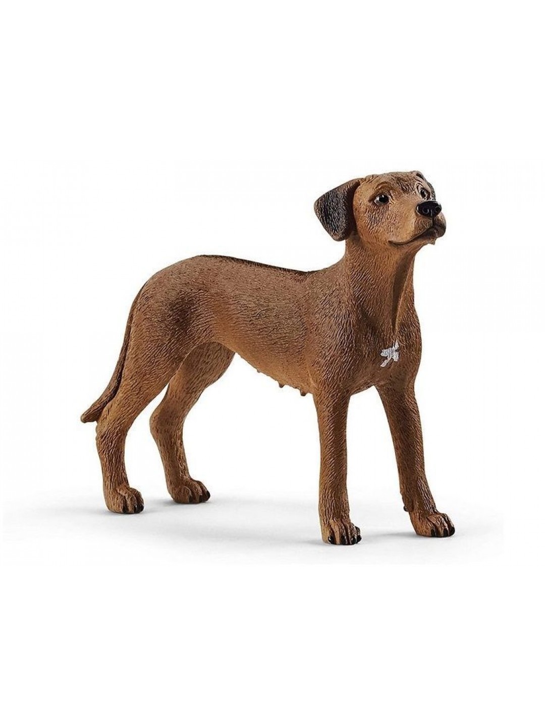 Фигурка Schleich Родезийский риджбек