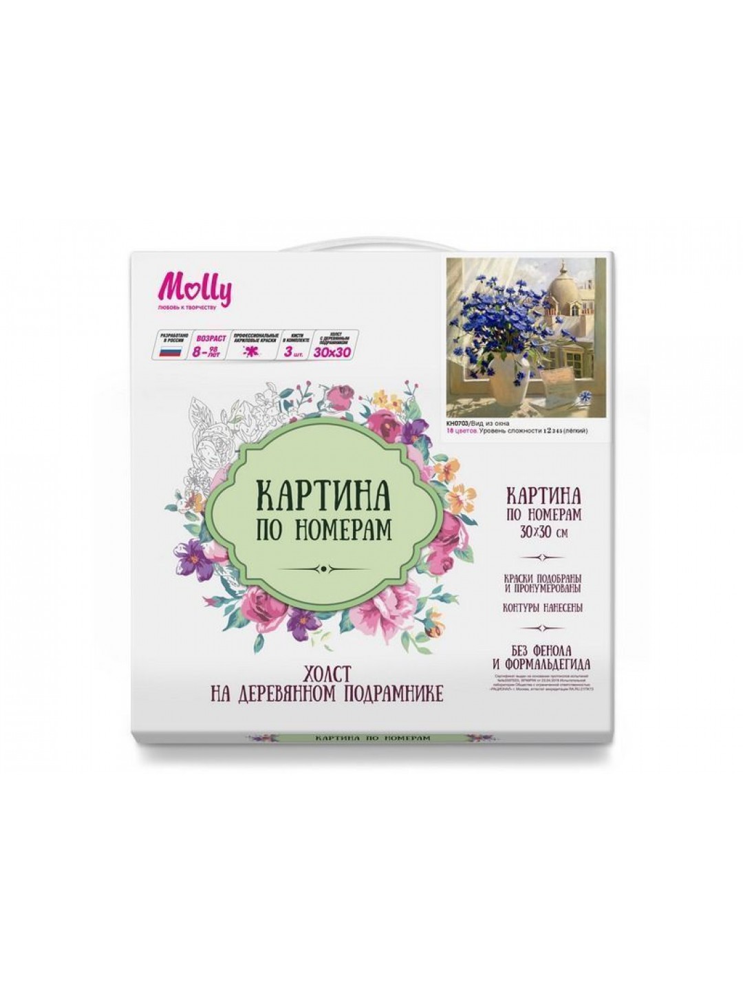 Картина по номерам 30х30 Вид из окна (18 цветов)