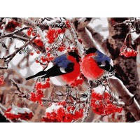 Картина по номерам 40х50 Снегири (24 цвета) №2
