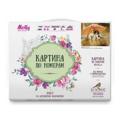 Картина по номерам 40х50 Непогода (21 цвет)