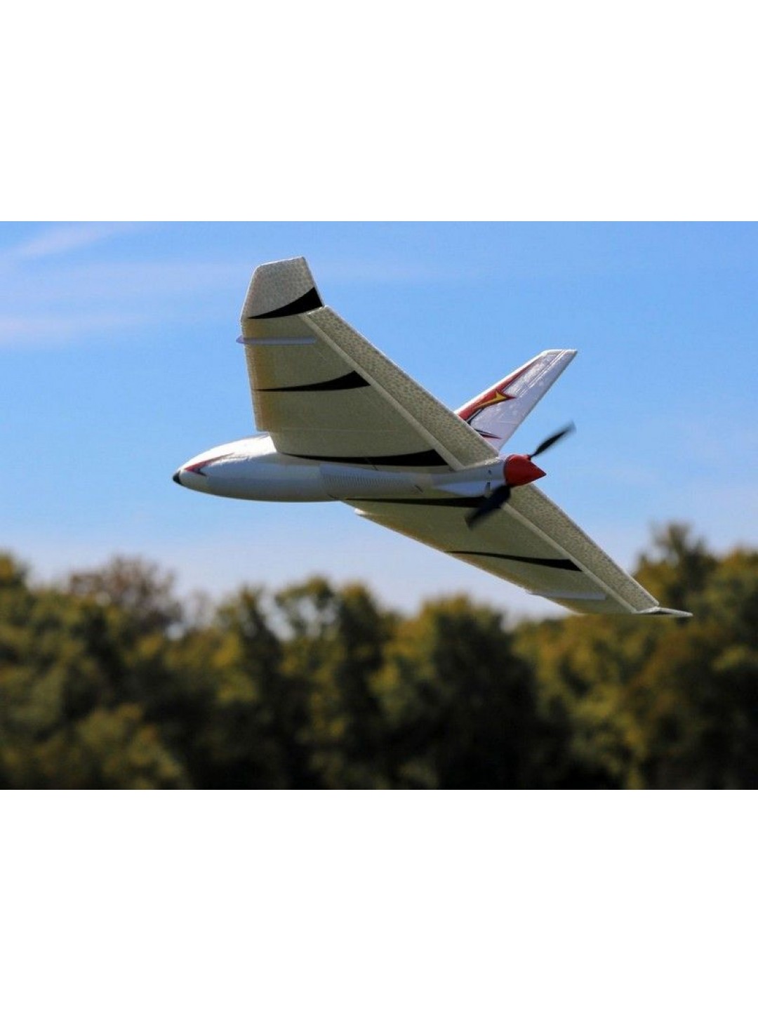 Самолет E-Flite Delta Ray One 500мм с технологией SAFE, электро, RTF