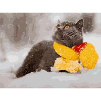 Картина по номерам с цветной схемой на холсте 30х40 БРИТАНЕЦ В ШАРФЕ (20 цветов) Картина по номерам с цветной схемой на холсте 30х40 БРИТАНЕЦ В ШАРФЕ (20 цветов)