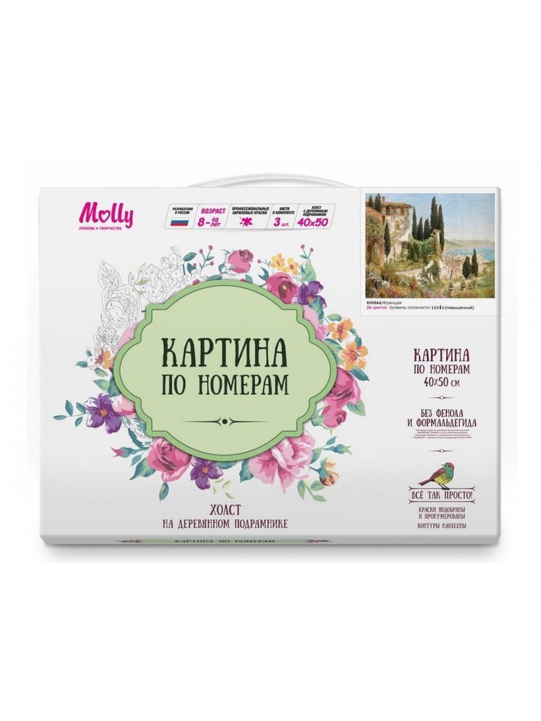 Картина по номерам 40х50 Франция (26 цветов)