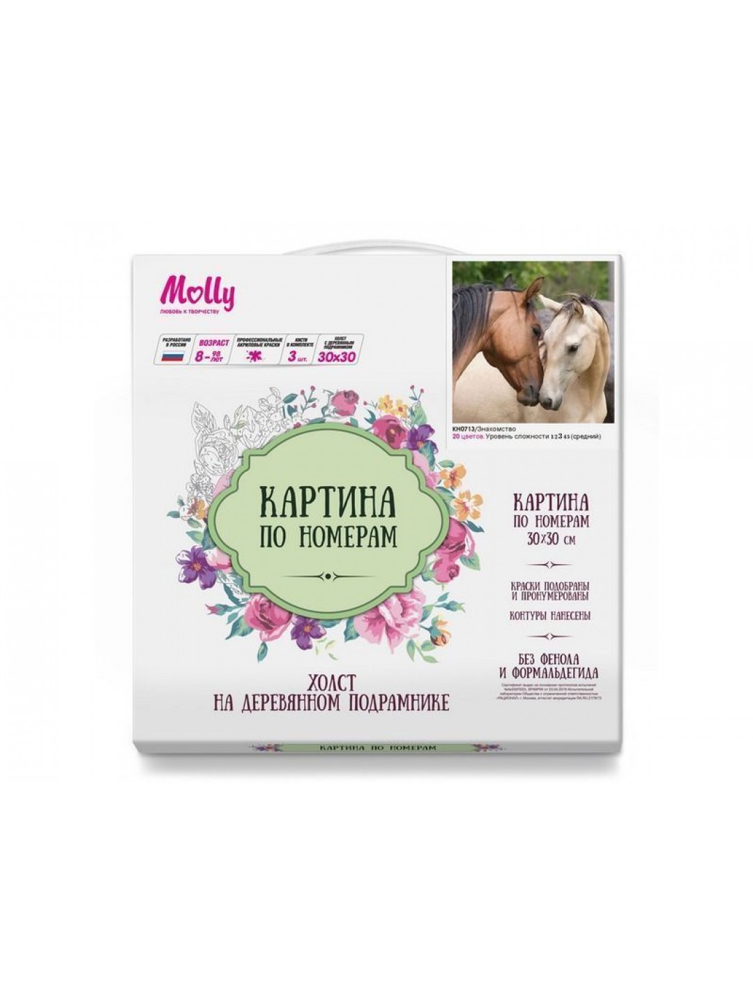 Картина по номерам 30х30 Знакомство (20 цветов)