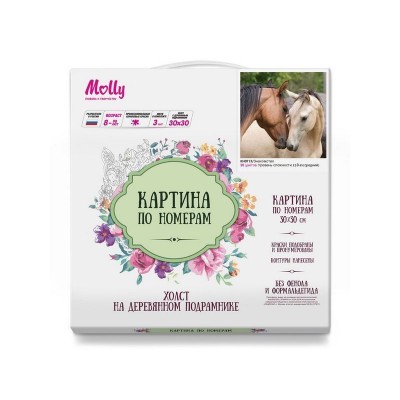 Картина по номерам 30х30 Знакомство (20 цветов)