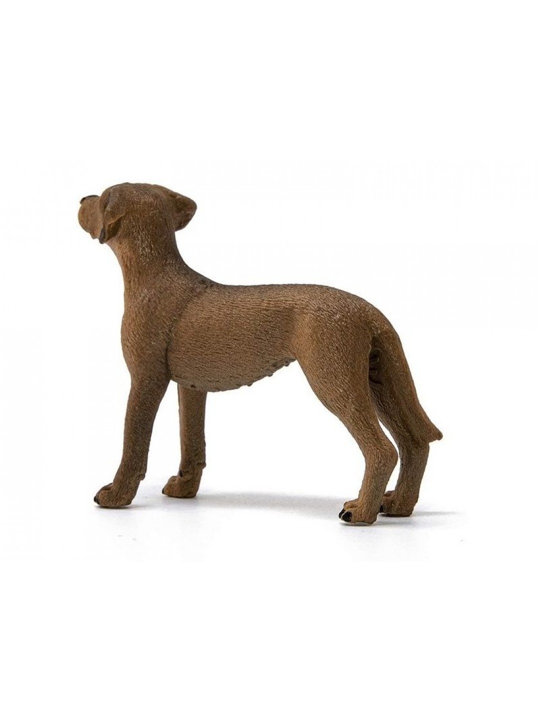 Фигурка Schleich Родезийский риджбек