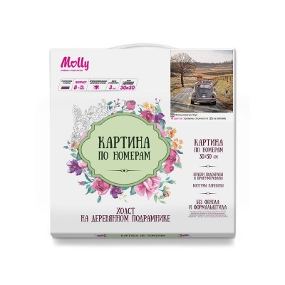 Картина по номерам 30х30 ФОЛЬКСВАГЕН ЖУК (18 цветов)
