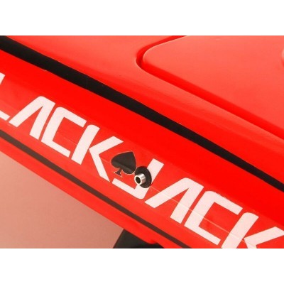 Радиоуправляемый катамаран ProBoat Blackjack 24 Brushless RTR