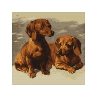 Картина по номерам 30х30 Таксы (18 цветов)