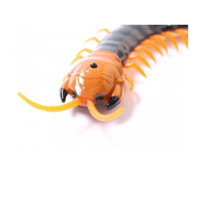 ИК Сороконожка Best Fun Toys 9901 Centipede свет
