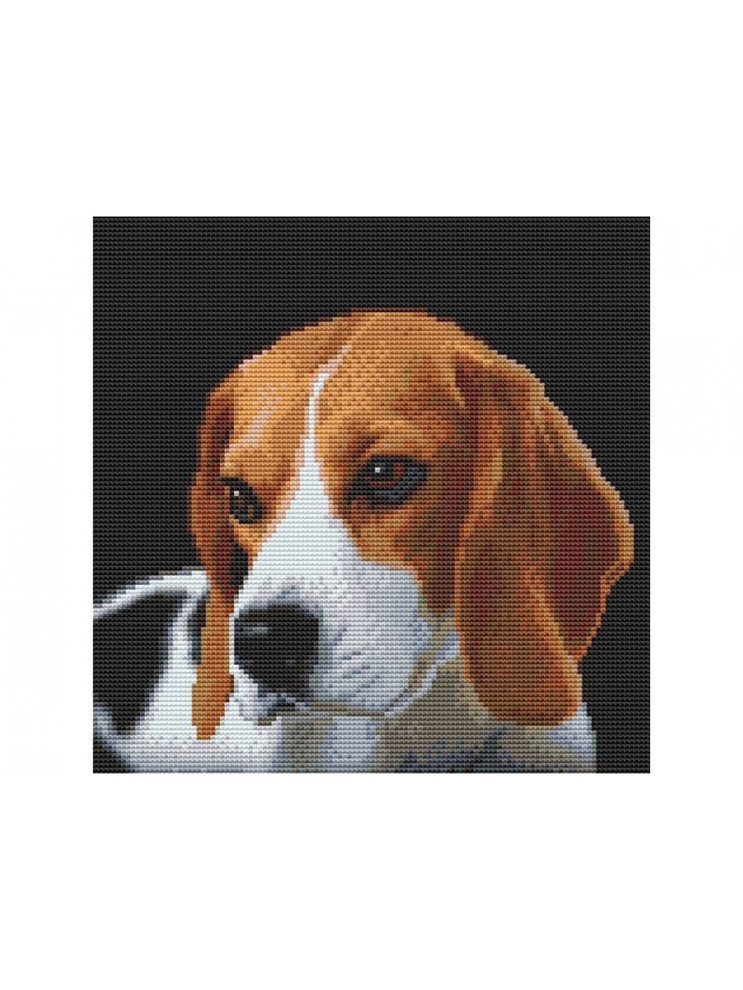 Картина мозаикой 30х30 БИГЛЬ (квадрат) (20 цветов)