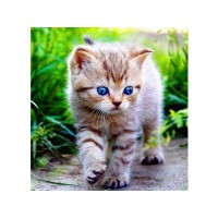 Картина по номерам 30х30 Голубоглазое чудо (20 цветов) Картина по номерам 30х30 Голубоглазое чудо (20 цветов)