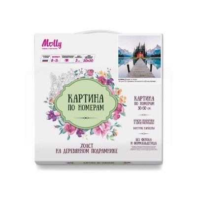 Картина по номерам 30х30 Домик в горах (18 цветов)
