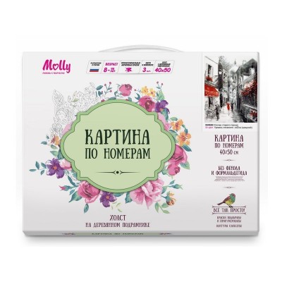 Картина по номерам 40х50 УЛОЧКА СТАРОГО ГОРОДА (21 цвет)