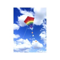 Воздушный змей «Рассвет 70х60» Воздушный змей «Рассвет 70х60»