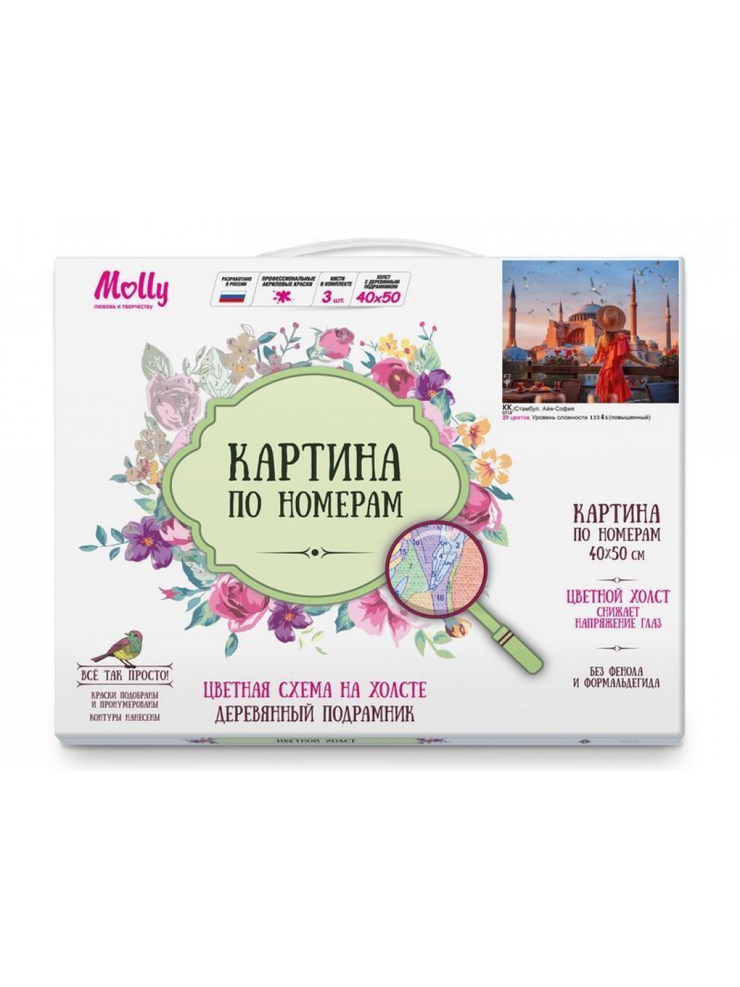 Картина по номерам с цветной схемой 40х50 СТАМБУЛ. АЙЯ-СОФИЯ (29 цветов)