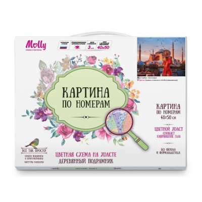 Картина по номерам с цветной схемой 40х50 СТАМБУЛ. АЙЯ-СОФИЯ (29 цветов)