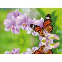 Алмазная мозаика 15х20 БАБОЧКА НА ВЕТКЕ (12 цветов) Алмазная мозаика 15х20 БАБОЧКА НА ВЕТКЕ (12 цветов)