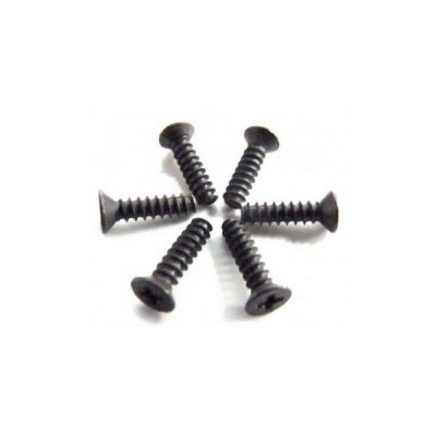 Винт с потайной головкой M2.6x10 под крестовую отвертку, 6шт. Винт с потайной головкой M2.6x10 под крестовую отвертку, 6шт.