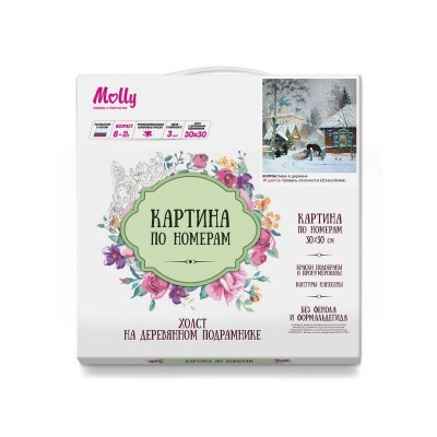 Картина по номерам 30х30 Зима в деревне (19 цветов)