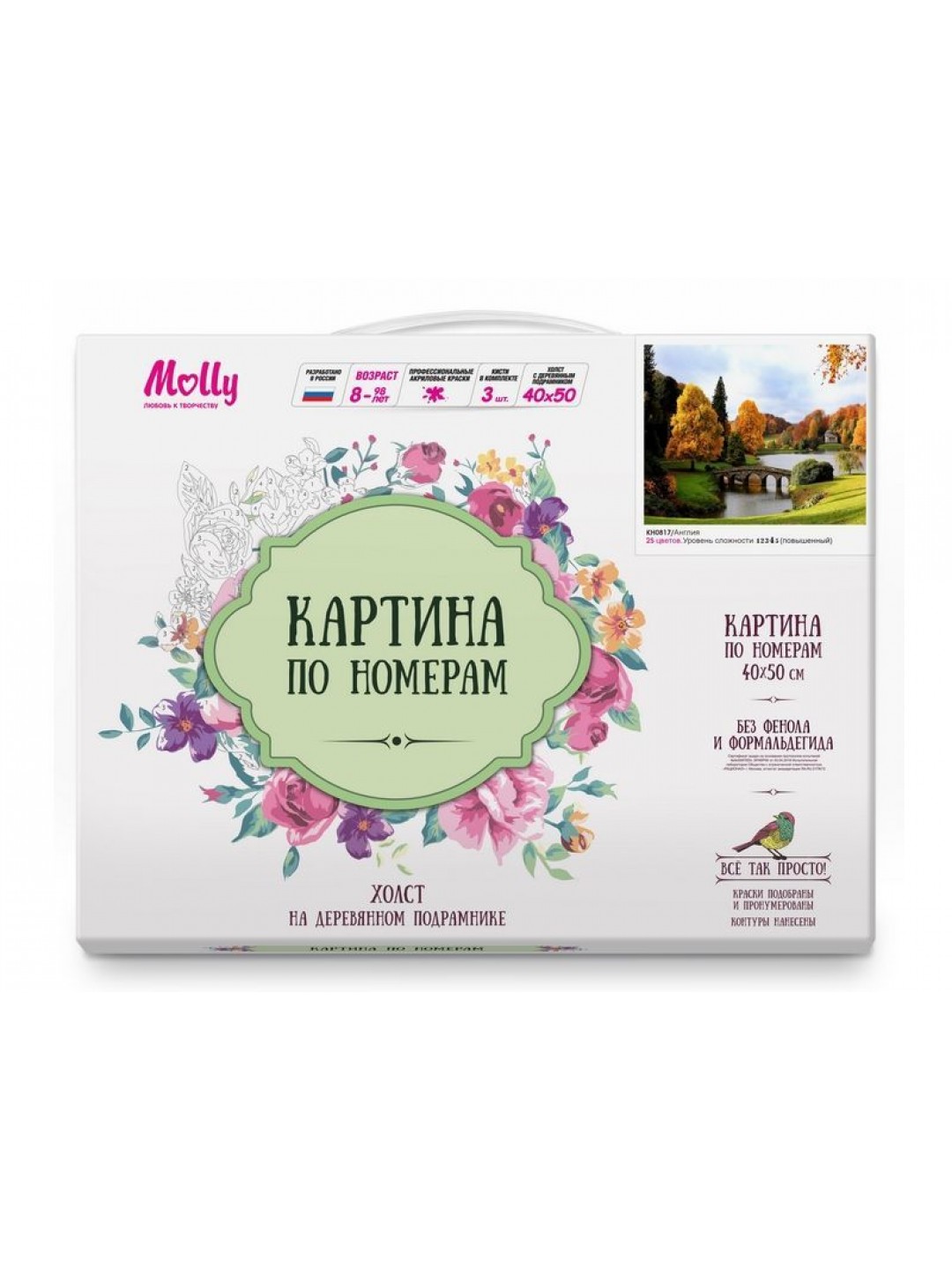 Картина по номерам 40х50 АНГЛИЯ (25 цветов)