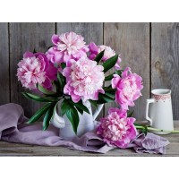 Картина по номерам с цветной схемой на холсте 30х40 Цветущие пионы (20 цветов)