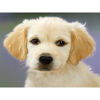 Набор юного художника 20х30 ПУШИСТЫЙ ЩЕНОК (15 цветов) Набор юного художника 20х30 ПУШИСТЫЙ ЩЕНОК (15 цветов)