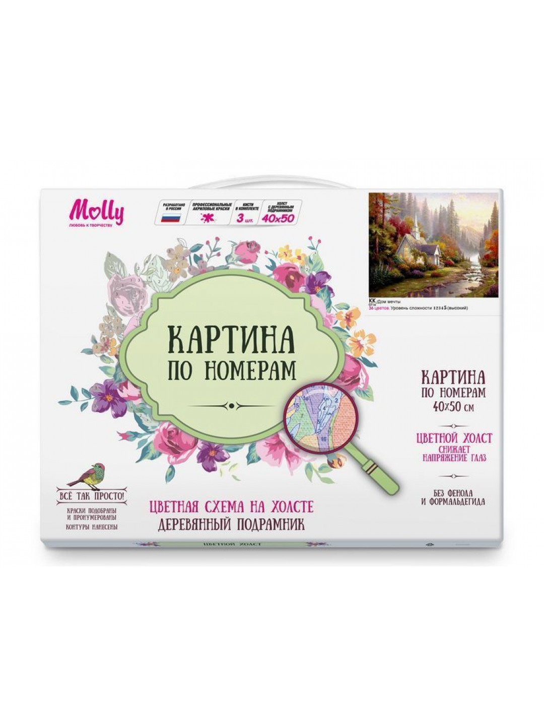 Картина по номерам с цветной схемой 40х50 ДОМ МЕЧТЫ (36 цветов)