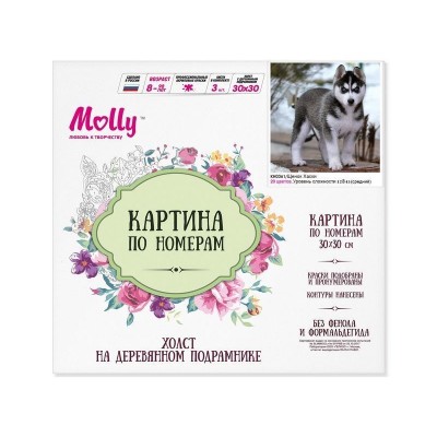 Картина по номерам 30х30 Щенок хаски (20 цветов)