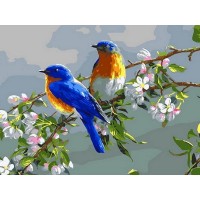 Набор юного художника 20х30 ВЕСЕННИЕ ПТИЦЫ(15 цветов) Набор юного художника 20х30 ВЕСЕННИЕ ПТИЦЫ(15 цветов)