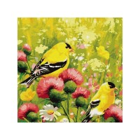 Картина по номерам 30х30 Иволги (21 цвет) Картина по номерам 30х30 Иволги (21 цвет)