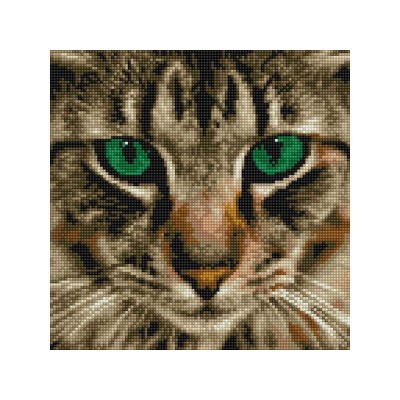 Картины мозаикой 30х30 БЕНГАЛЬСКАЯ КОШКА (15 цветов)