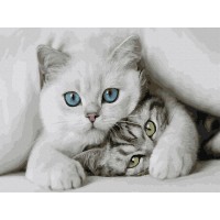 Картина по номерам с цветной схемой на холсте 30х40 МИЛЫЕ КОТЯТА (20 цветов) Картина по номерам с цветной схемой на холсте 30х40 МИЛЫЕ КОТЯТА (20 цветов)