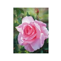 Алмазная мозаика 15х20 ЦВЕТОК РОЗЫ (11 цветов) Алмазная мозаика 15х20 ЦВЕТОК РОЗЫ (11 цветов)