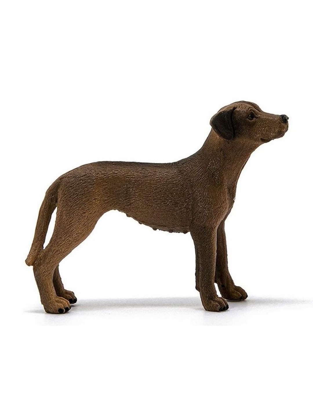 Фигурка Schleich Родезийский риджбек