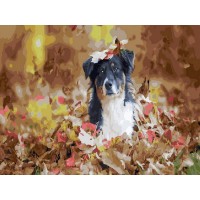 Картина по номерам 40х50 Запах осени (28 цветов) Картина по номерам 40х50 Запах осени (28 цветов)