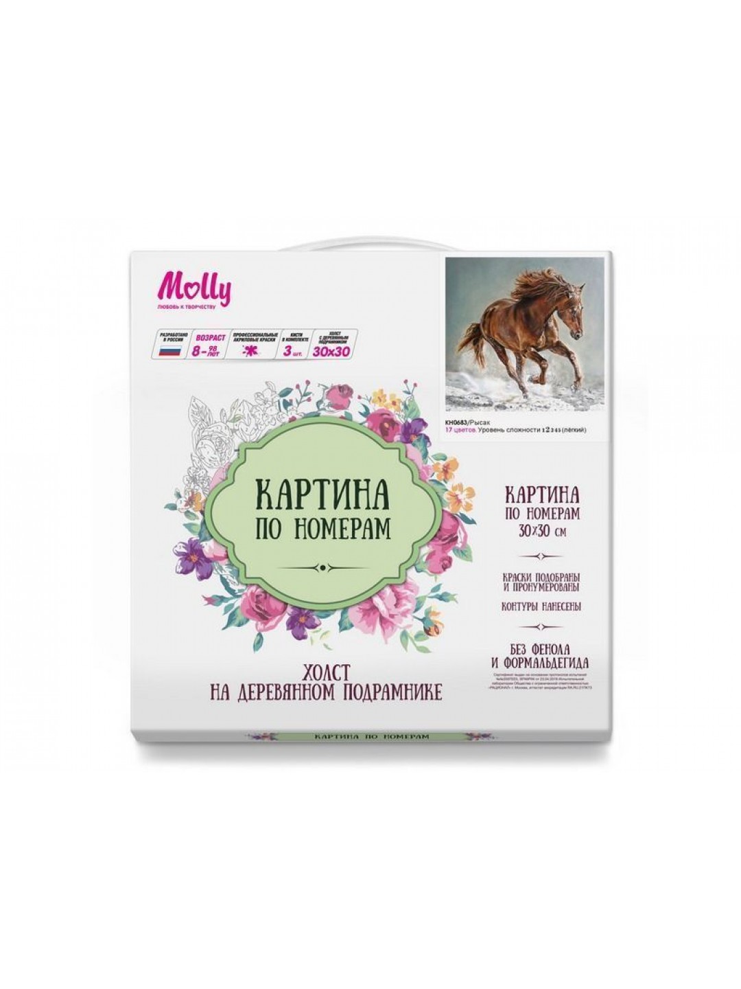 Картина по номерам 30х30 Рысак (17 цветов)