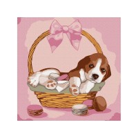 Набор юного художника 20Х20 ЩЕНОК В КОРЗИНКЕ (13 цветов)