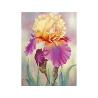 Алмазная мозаика 15х20 ИРИС (15 цветов) Алмазная мозаика 15х20 ИРИС (15 цветов)