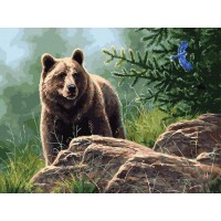 Картина по номерам с цветной схемой 40х50 СИБИРСКИЙ БУРЫЙ МЕДВЕДЬ (30 цветов) Картина по номерам с цветной схемой 40х50 СИБИРСКИЙ БУРЫЙ МЕДВЕДЬ (30 цветов)