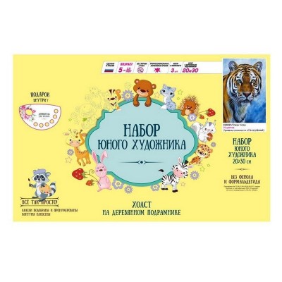 Набор юного художника 20х30 Глаза тигра (15 цветов)