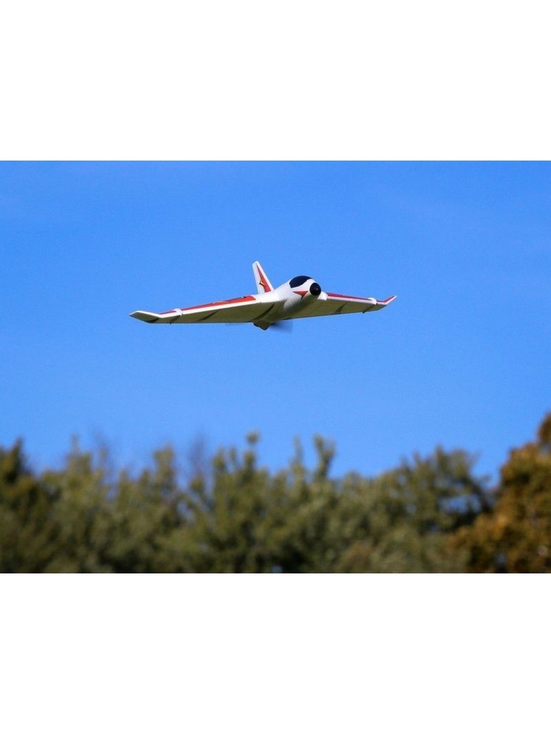 Самолет E-Flite Delta Ray One 500мм с технологией SAFE, электро, RTF
