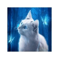 Картина мозаикой 30х30 ГОЛУБОГЛАЗАЯ КОШКА (квадрат) (22 цвета)