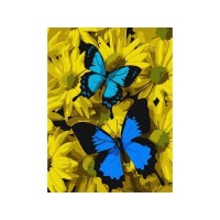 Картина по номерам 15х20 СИНИЕ БАБОЧКИ В ЦВЕТАХ (13 цветов) Картина по номерам 15х20 СИНИЕ БАБОЧКИ В ЦВЕТАХ (13 цветов)