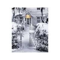 Картина по номерам 40х50 БЕЛЫЙ СНЕГ УКРАСИЛ ГОРОД (16 цветов)