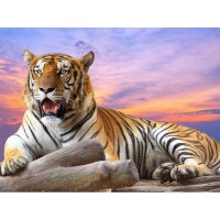 Картина по номерам с цветной схемой на холсте 30х40 На закате (19 цветов) Картина по номерам с цветной схемой на холсте 30х40 На закате (19 цветов)