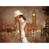 Картина по номерам 40х50 ПОСЛЕ ДОЖДЯ (24 цвета)