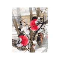 Картина по номерам на дереве 40х50 ДЫХАНИЕ ЗИМЫ (26 цветов) Картина по номерам на дереве 40х50 ДЫХАНИЕ ЗИМЫ (26 цветов)