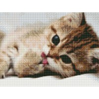 Алмазная мозаика с нанесенной рамкой 40х50 ПОСЛЕ ОБЕДА (24 цвета) Алмазная мозаика с нанесенной рамкой 40х50 ПОСЛЕ ОБЕДА (24 цвета)