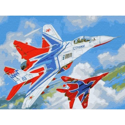 Картина по номерам с цветной схемой на холсте 30х40 Стрижи (18 цветов)